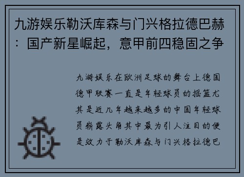 九游娱乐勒沃库森与门兴格拉德巴赫：国产新星崛起，意甲前四稳固之争 - 副本